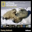2010 "natiional Geographic" Funny Animals Grid Calendar (english, German, French, Italian, Spanish And Dutch Edition)</p><p> (calendar - Jul 1, 2008)