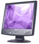 BenQ FP567S 15" LCD Monitor (Silver/Black)