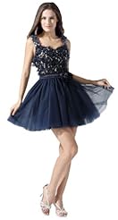 Empire   Waistline Lace Beaded Silk/Tulle Sleeveless Prom Dress/Mini Dress 