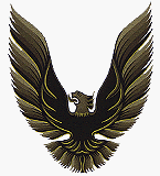 1979-81 Trans Am Kit (5-color)-GOLD