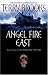 Books : Angel Fire East (Word & the Void)