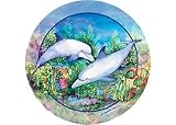 Thirstystone Dolphin Duo Coaster Set