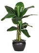 Silk Banana Palm Tree with Black Vase 22"