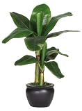 Silk Banana Palm Tree with Black Vase 22 &acute; - B001DQH5C6