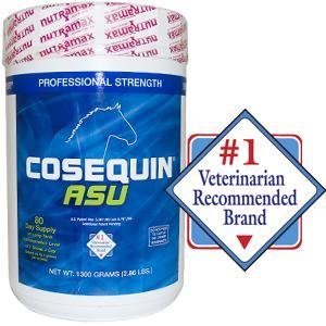Cosequin ASU For Horses, 1300 grams