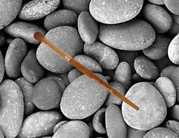 Make-up Blending Shadow Brush