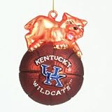 Kentucky Wildcats 5 Glass Mascot Basketball Ornament