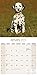 Dalmatian Calendar - Only Dog Breed Dalmatian Calendar - 2016 Wall calendars - Dog Calendars - Monthly Wall Calendar by Avonside
