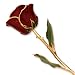 Lacquer Dipped Gold Trim Burgundy Rose