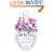 The Beauties of a Cottage Garden (English Journeys)