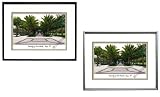 University of South Florida Undergrad Framed Collegiate Campus Lithograph