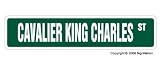 CAVALIER KING CHARLES -Street Sign- collectable dog lover great gift