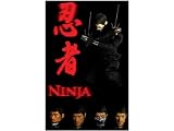1/6 Scale Black Ninja Figure