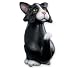 Black & White Cat Whimsical Coat Hook