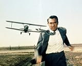 CARY GRANT 24x36 COLOR POSTER PRINT