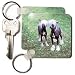 Chinese Crested Hairless - Set Of 2 Key Chains
