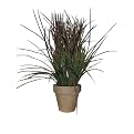 Potted Grass