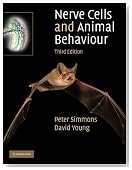 Nerve Cells and Animal Behaviour