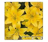 Yellow Lilly Skin for Sony Playstation 3 Slim Console