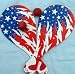 Patriotic Paddles and Balls (12/PKG)