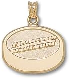 Tampa Bay Lightning Puck Charm/Pendant