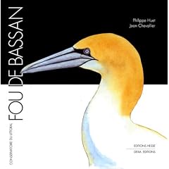 Fou de bassan
