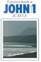 John (Expository Thoughts on the Gospels)