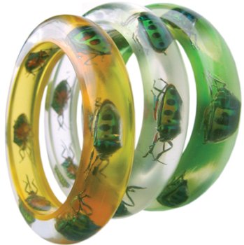 Click here to buy Dead Beetle jewelry.