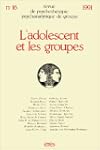L'Adolescent et les groupes