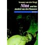 Nina und das Amulett aus den Flammen