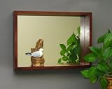 Reflections Box 15 x 21