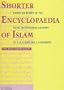 Shorter Encyclopaedia of Islam: Edited on Behalf of the Royal Netherlands Academy