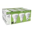 14 Watt Compact Fluorescent Flood Light Bulb (**6 PACK**) / R30 Shape (3.75 Diameter) / 65 Watt Incandescent Equivalent / 2700K / Energy Star Listed