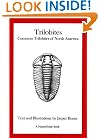 Trilobites: Common Trilobites of North America (A NatureGuide book)