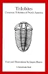 Trilobites: Common Trilobites of North America (A NatureGuide book)