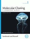 Molecular Cloning: A Laboratory Manual