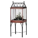 Red Carpet Studio  amden Terrarium
