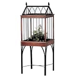 Red Carpet Studio  amden Terrarium