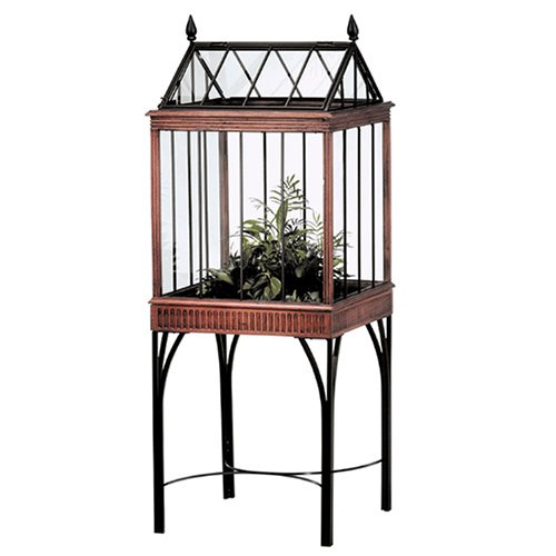 Red Carpet Studio  amden Terrarium