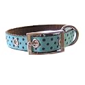 Dog Collar - Blue with Brown Dots