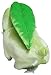 Pokemon Bulbasaur 6