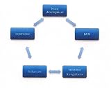 Neurobiology & Social Work