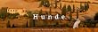 Tischkalender Hunde 2011 - Kalender