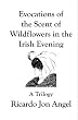 Evocations of the Scent of Wildflowers in the Irish Evening
