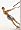 Perfect Pullup