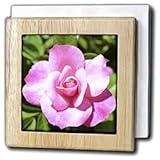 Natures Expression of a Rose II - 6 Inch Tile Napkin Holder