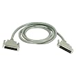 QVS - SCSI external cable - HD-50 (M) - HD-50 (M) - 6 ft