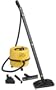 DeLonghi ST100P Steam It Clean Steam Cleaner