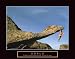 Goals Rock Climber Motivational Poster Inspirational Art Print Climbing Gear Ropes
