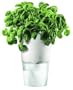 Eva Solo Self-Watering Flowerpot - Large - White